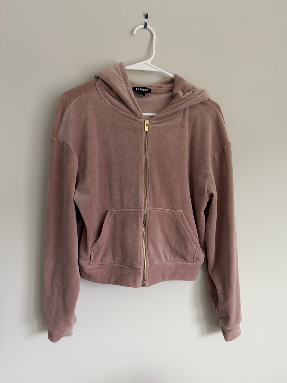 Express Mauve Velvet Zip Hoodie with Gold Zipper